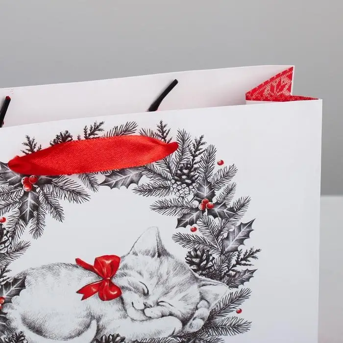 Пакет ламинированный «Новогодний котёнок», MS 23 х 18 х 8 см