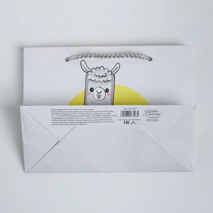 Пакет подарочный, упаковка, «Веселье», 19.5 х 14.5 х 8.5 см