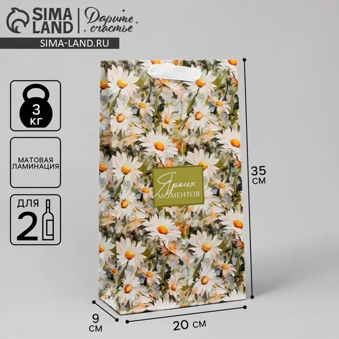 Пакет подарочный под две бутылки, упаковка, &laquo;Яркие моменты&raquo;, 35&times;20&times;9 см