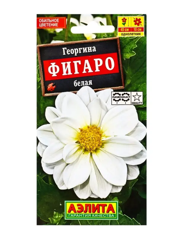 Семена цветов Георгина Фигаро махровая белая , Ц/П,7 шт. Семена цветов Георгина Фигаро махровая белая , Ц/П,7 шт.