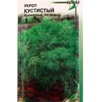Набор семян Укроп &laquo;Кустистый&raquo;, суперароматный и мегаурожайный, 750 семян
