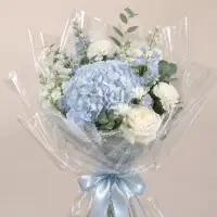 Пленка для цветов &laquo;Красота цветов&raquo;, серебряная, 0.57&times;5 м &plusmn;5% см