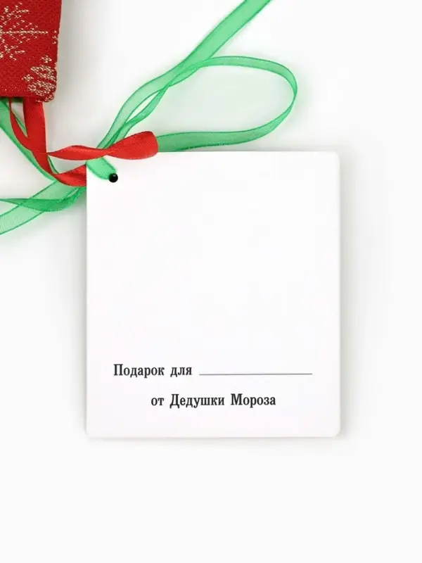 Пакет подарочный &laquo;Новогодний подарок&raquo;, с носком для подарков и шильдиком, 25.5&times;30&times;9 см