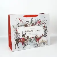 Пакеты подарочные новогодние &laquo;Время чудес в Новом году&raquo;, набор 4 шт.