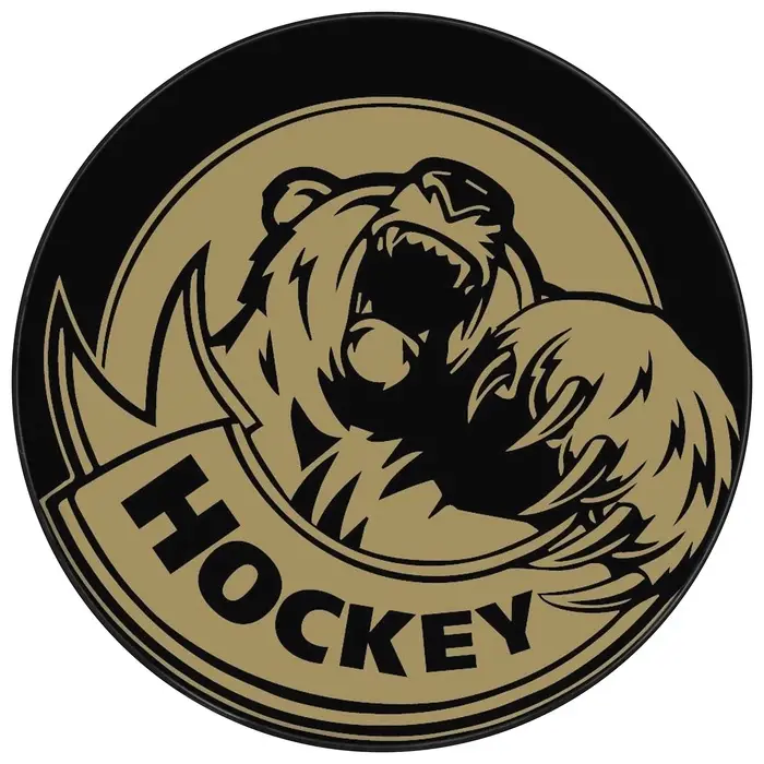 Шайба хоккейная Winter Star, взрослая, d=7.6 см