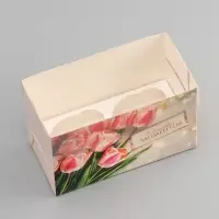 Коробка для 2 капкейка с прозрачной крышкой, «Счастливых моментов», 16×8×10 см