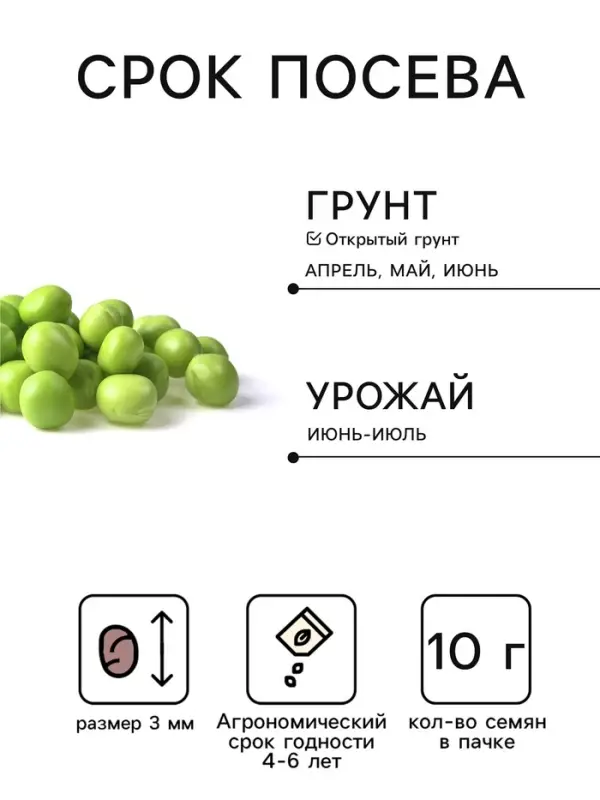 Семена Горох сахарный &laquo;Амброзия&raquo;, раннеспелый, 10 г, &laquo;Золотая сотка Алтая&raquo;
