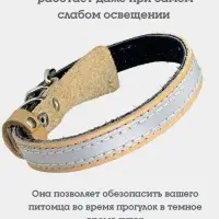 Ошейник, 35&times;1.5 см, с подкладом и светоотражающей лентой, кожа, бежевый