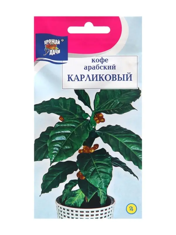 Семена цветов Кофе арабский  Семена цветов Кофе арабский "Карликовый", 0,8г