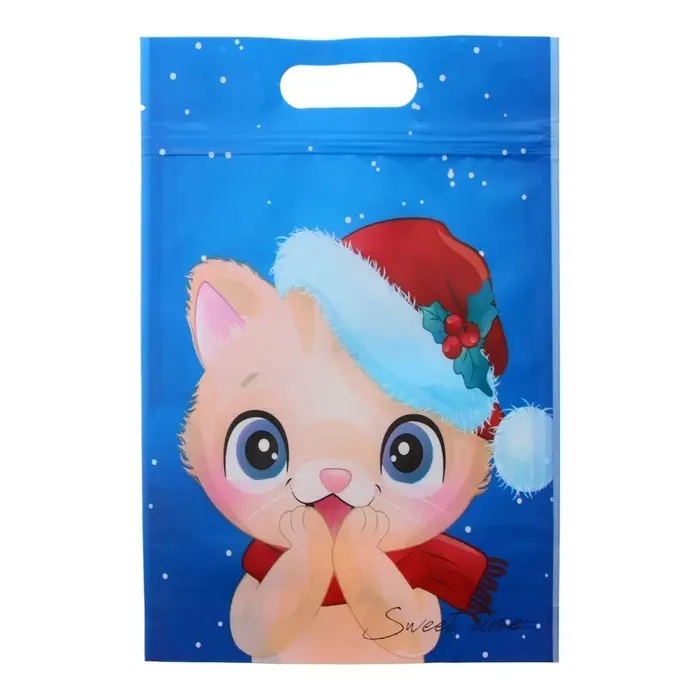 Пакет подарочный, с zip-lock застежкой,  Пакет подарочный, с zip-lock застежкой, "Зимние котята", 15х22см.