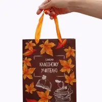 Набор ламинированных вертикальных пакетов &laquo;Классному учителю&raquo;, 3 шт, MS 18 &times; 23 &times; 10 см