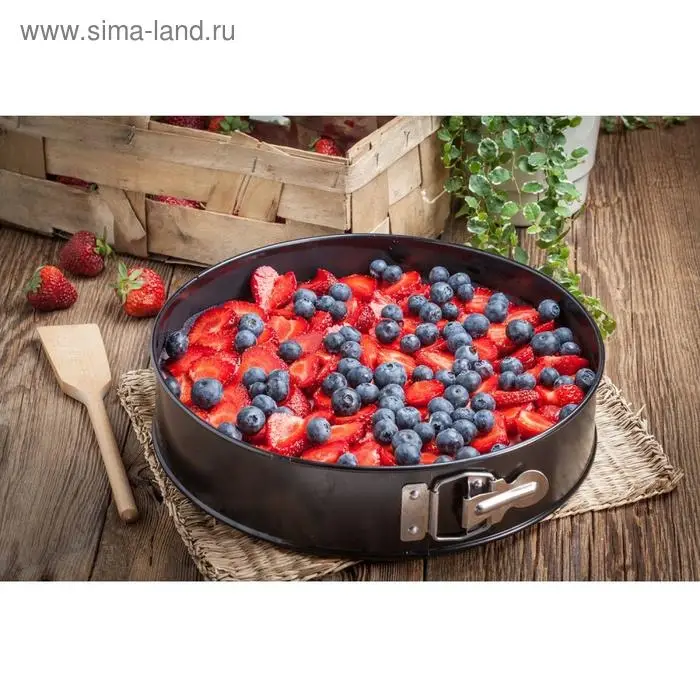 Форма для выпечки Доляна &laquo;Элин. Круг&raquo;, d=24 см, разъёмная, антипригарное покрытие, чёрная