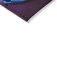 Альбом для рисования А4, 20 листов на скрепке Calligrata, обложка мелованный картон, МИКС