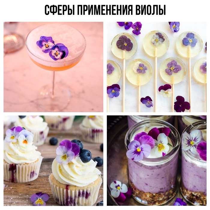 Цветы съедобные &laquo;Виола&raquo; для капкейков, тортов, куличей, напитков, 5 шт.
