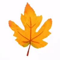 Декор &laquo;Осенний лист&raquo; набор 15 шт., размер 1 шт. &mdash; 9 &times; 11 &times; 0,2 см, цвет жёлто-оранжевый