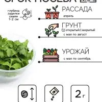 Семена Кориандр - кинза &laquo;Кин-Дза-Дза&raquo;, 2 г, &laquo;Рецепты дедушки Никиты&raquo;