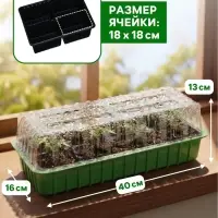 Мини-парник для рассады, 40&times;16&times;13 см, 2 вставки, 8 ячеек, зелёный, Greengo