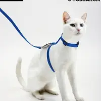 Комплект для кошек, ширина 1 см, ОШ 16.5-27 см, ОГ 21-35 см, поводок 120 см, синий