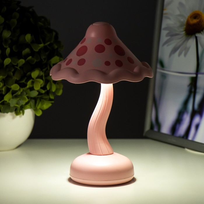Ночник Ночник "Гриб" LED 2Вт USB АКБ МИКС 13х13х21 см RISALUX
