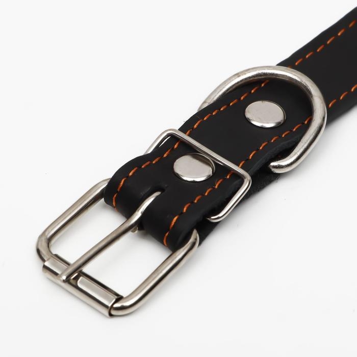 Ошейник кожаный на синтепоне, безразмерный, 65 х 3 см, ОШ 22-55 см,  чёрный Ошейник кожаный на синтепоне, безразмерный, 65 х 3 см, ОШ 22-55 см,  чёрный