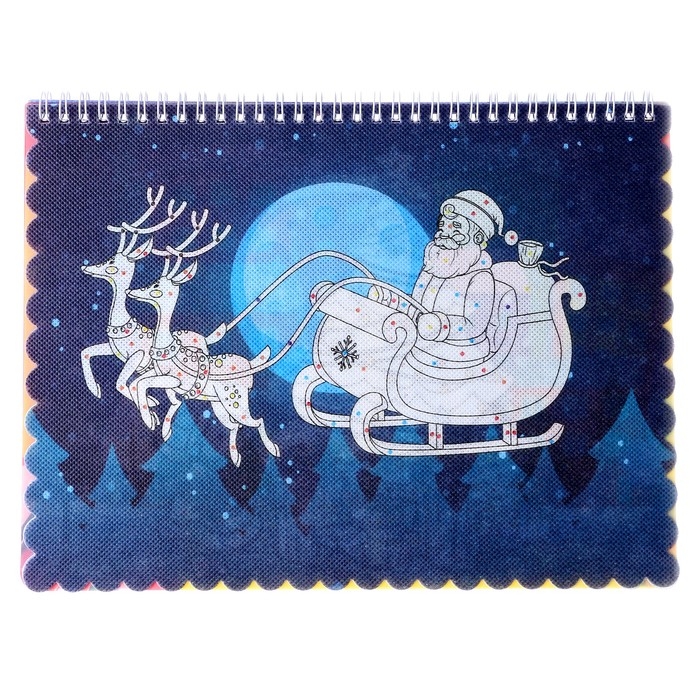 Книжка-раскраска многоразовая «Новый год» фломастеры 12 цв., 3D очки, бутылочка для воды Книжка-раскраска многоразовая «Новый год» фломастеры 12 цв., 3D очки, бутылочка для воды