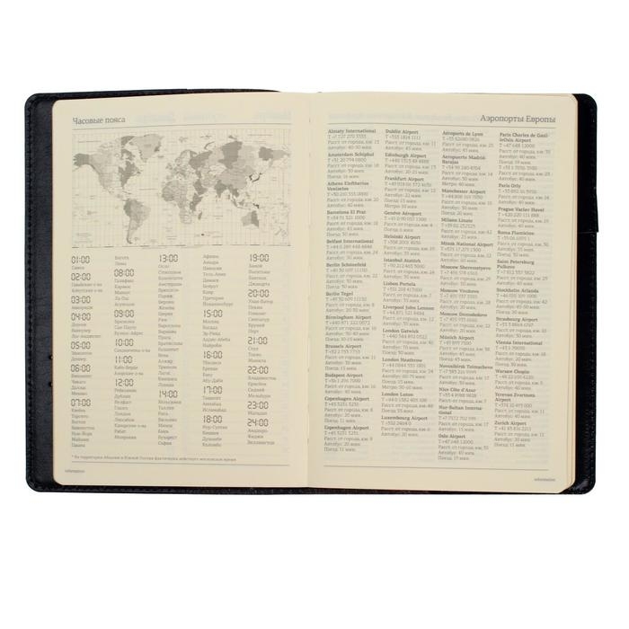 Ежедневник полудатированный А5, 208 листов Profy, рециклированная кожа, сменный блок, золотой срез, чёрный Ежедневник полудатированный А5, 208 листов Profy, рециклированная кожа, сменный блок, золотой срез, чёрный