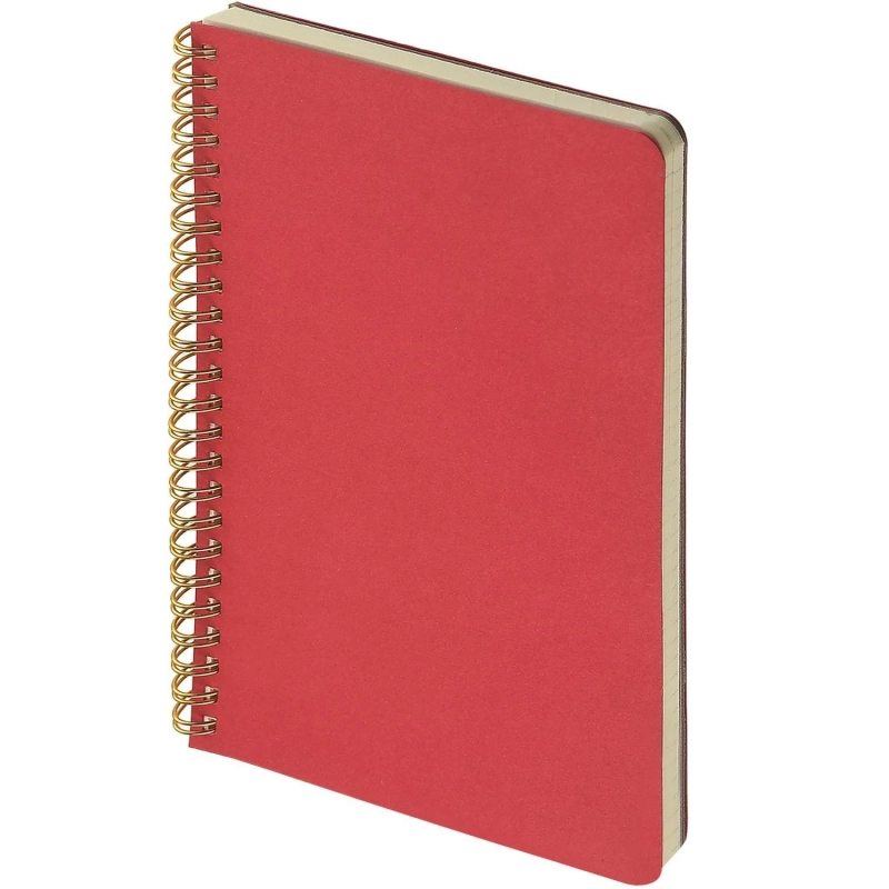 Бизнес-тетрадь А5 60л клет BrunoVisconti PRAGMATIC красн,греб 7-60-1255/05