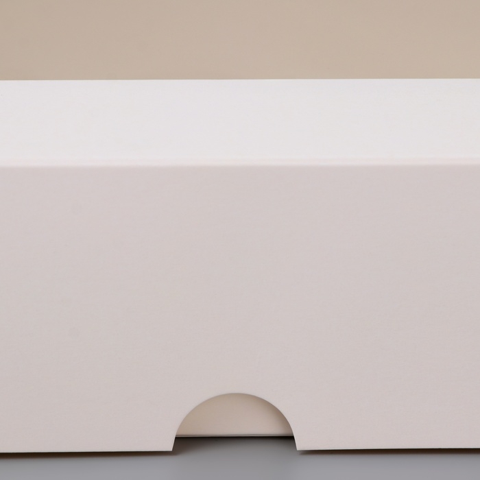 Коробка складня, пенал, с окном, белая, 27 х 12 х 5 см Коробка складня, пенал, с окном, белая, 27 х 12 х 5 см