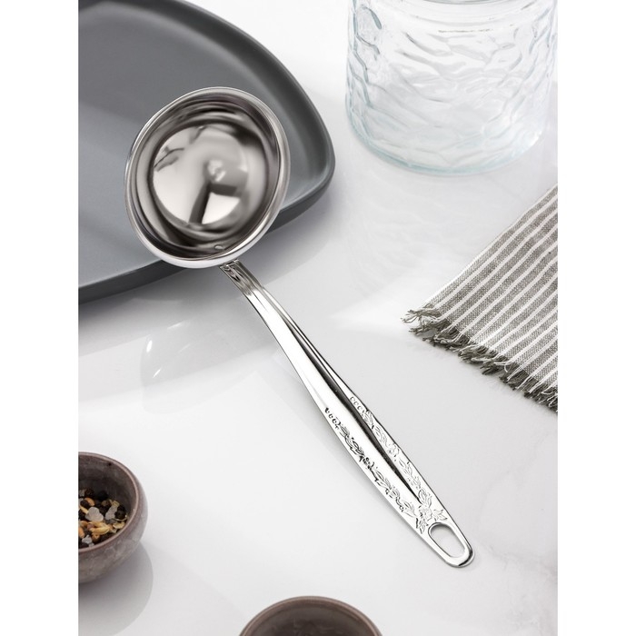 Половник «Родник», 100 мл, длина ручки=21 см, цвет серебряный Половник «Родник», 100 мл, длина ручки=21 см, цвет серебряный