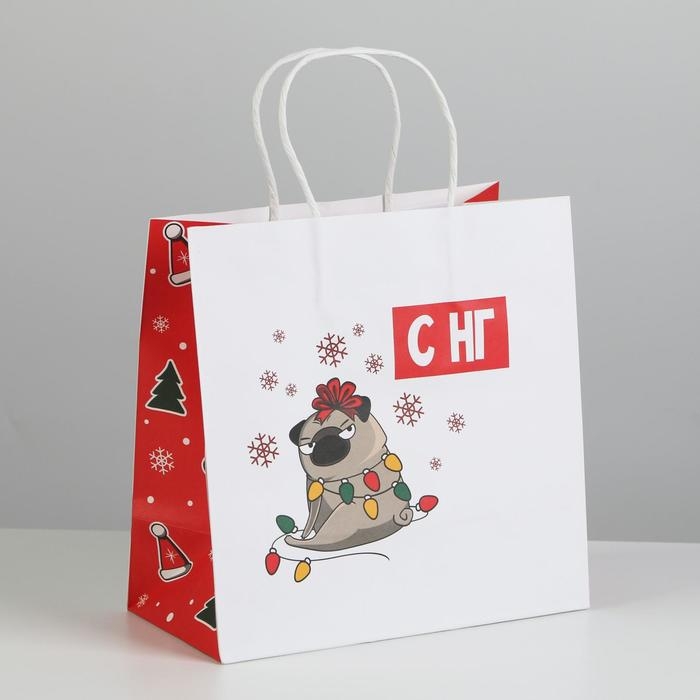Пакет подарочный новогодний «А вас также», 22 х 22 х 11 см, Новый год Пакет подарочный новогодний «А вас также», 22 х 22 х 11 см, Новый год