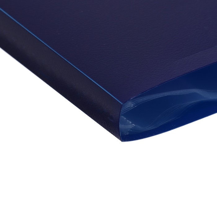 Папка с 20 вкладышами А4, 500 мкм, Calligrata, черничная Папка с 20 вкладышами А4, 500 мкм, Calligrata, черничная