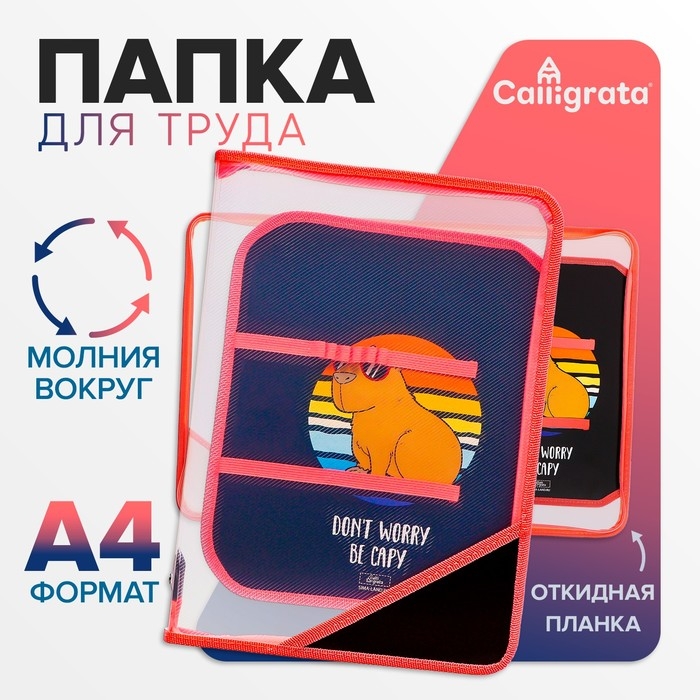 Папка д/труда А4 молния вокруг/откидная планка пластик ПТР-1 Calligrata дев  Папка д/труда А4 молния вокруг/откидная планка пластик ПТР-1 Calligrata дев "Be capy"
