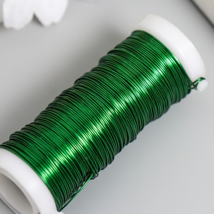 Проволока для творчества Проволока для творчества "Зелёный" 30 метров, толщина 0,3 мм 5,5х2,2х2,2 см