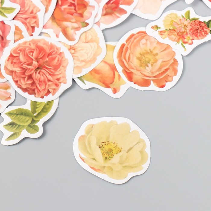 Наклейки для творчества Наклейки для творчества "Пионы" набор 46 шт 4,4х4,4х1,1 см