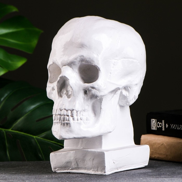 Копилка Копилка "Череп" белая, 23х19см