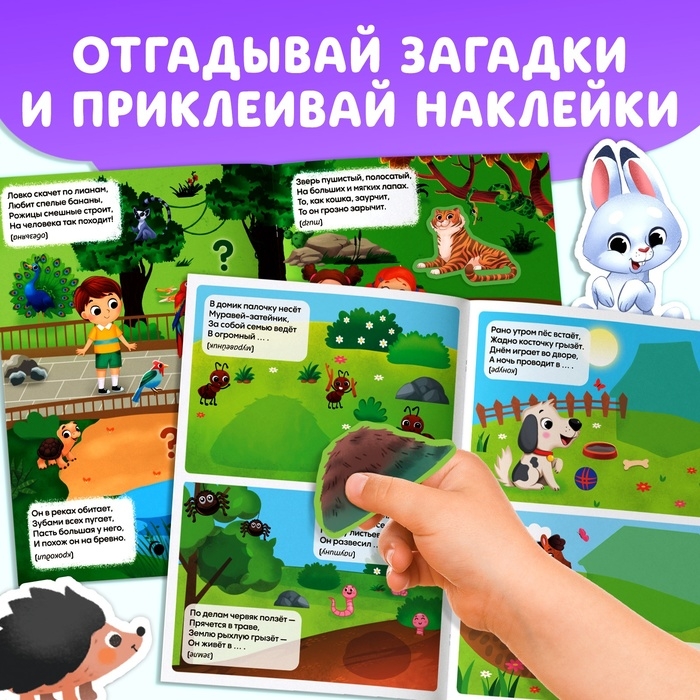 Набор книг с наклейками-загадками, 2 шт., 60 наклеек, 3+ Набор книг с наклейками-загадками, 2 шт., 60 наклеек, 3+