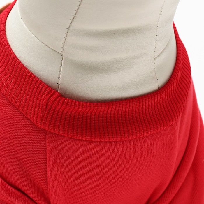 Кофта новогодняя для животных "Подарок", размер XL (ДС 40, ОГ 50 см), красный