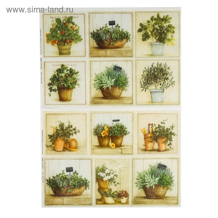 Набор декупажных карт 6 шт «Травы Прованса» Набор декупажных карт 6 шт «Травы Прованса»