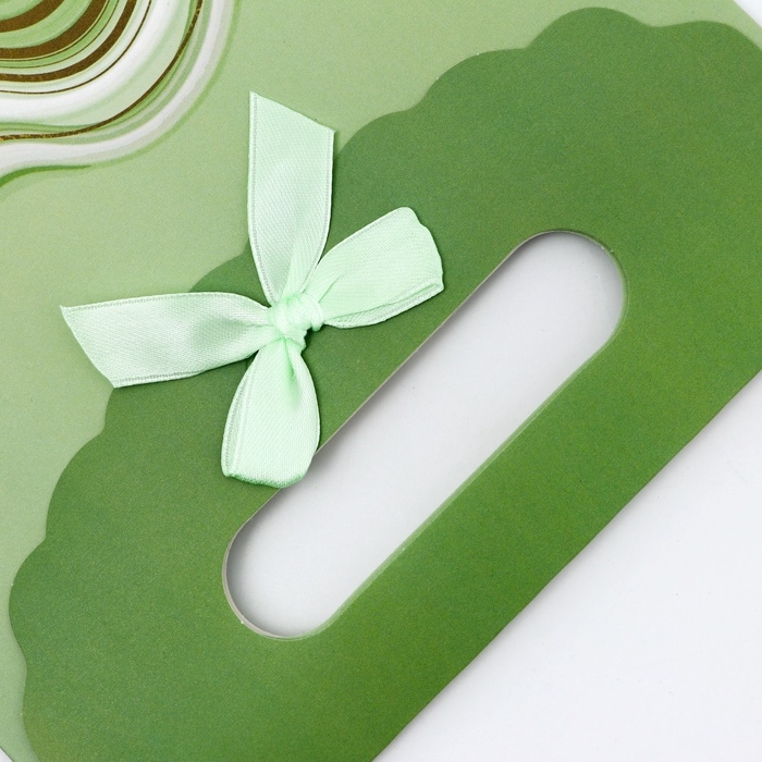 Подарочная коробка-пакет, упаковка с вырубной ручкой, Подарочная коробка-пакет, упаковка с вырубной ручкой, "Зеленая грация" , 19 х 9 х 27 см