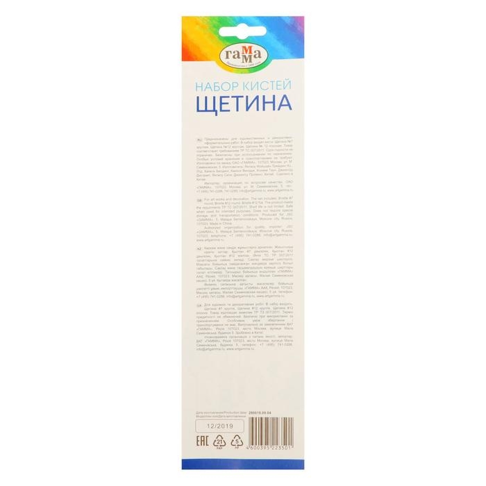 Набор кистей  Набор кистей "Щетина", 3 штуки круглые № 7, 12, плоская №12