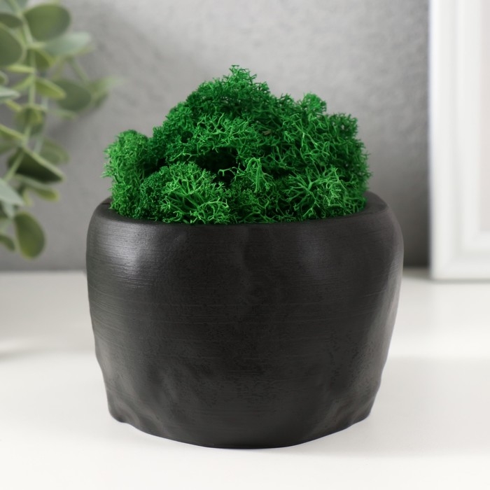 Кашпо бетонное Кашпо бетонное "Череп" со мхом черный 13х9х6,5 см (мох зеленый стабилизированный)