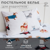 Постельное бельё Этель 1.5 сп Dog party, 143*215 см, 150*214 см, 50*70 см -1 шт,100% хлопок, бязь