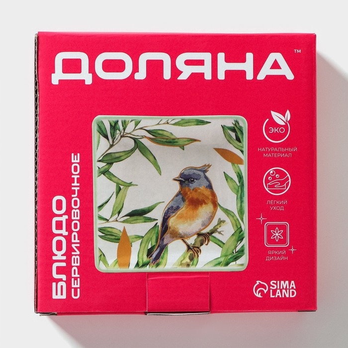 Блюдо сервировочное Доляна «Уютные коты», 15×15×3 см, цвет белый