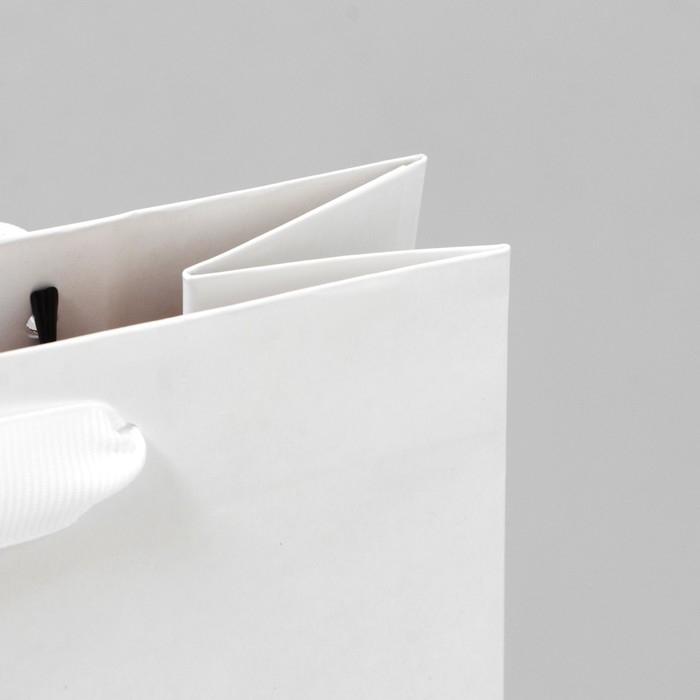 Пакет подарочный под две бутылки, упаковка, «Яркие события», 35 х 20 х 9 см Пакет подарочный под две бутылки, упаковка, «Яркие события», 35 х 20 х 9 см