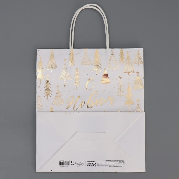 Пакет подарочный новогодний крафтовый «Новогодняя пора», 22 х 25 х 12 см, Новый год Пакет подарочный новогодний крафтовый «Новогодняя пора», 22 х 25 х 12 см, Новый год