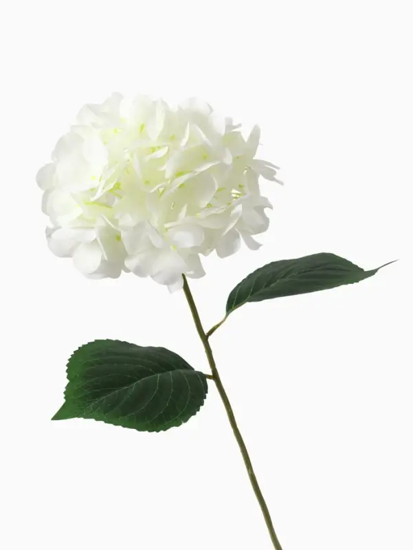 Цветы искусственные &laquo;Гортензия экстра&raquo;, h=55 см, d=16 см, белые