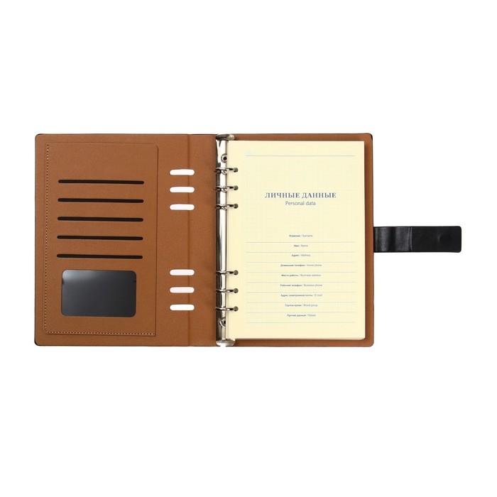 Органайзер на кольцах, обложка ПВХ, А5, 140 листов в клетку, с хлястиком, МИКС Органайзер на кольцах, обложка ПВХ, А5, 140 листов в клетку, с хлястиком, МИКС