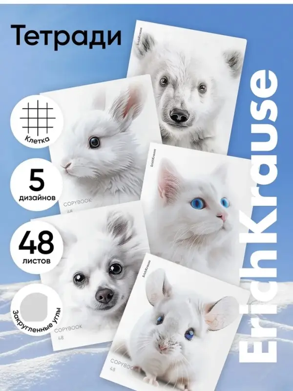 Тетрадь 48 листов в клетку ErichKrause Whiteout, 60 г/м&sup2;, обложка мелованный картон, МИКС
