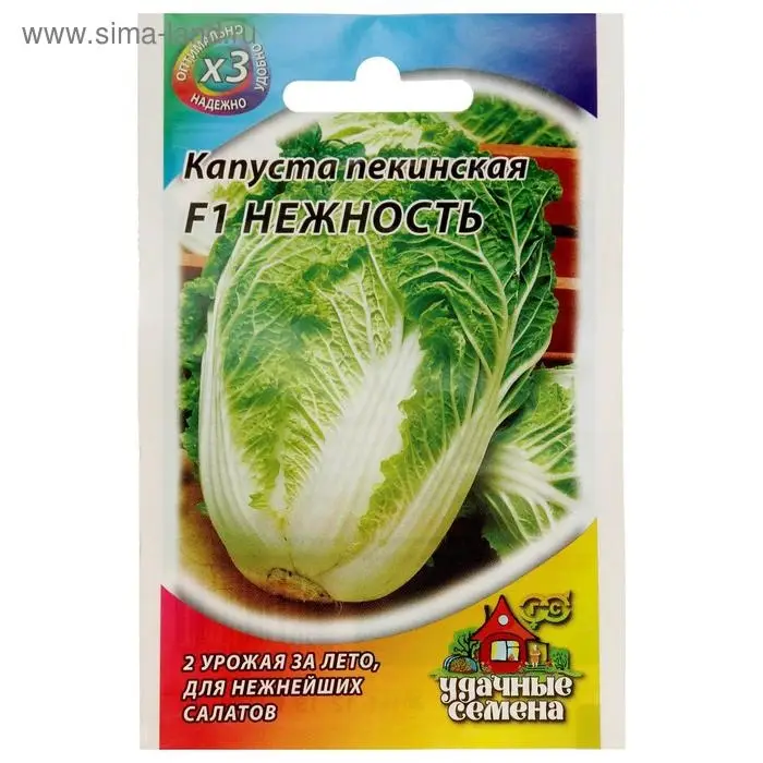 Семена Капуста пекинская  Семена Капуста пекинская "Нежность" F1, ц/п, 0,1 г  серия ХИТ х3