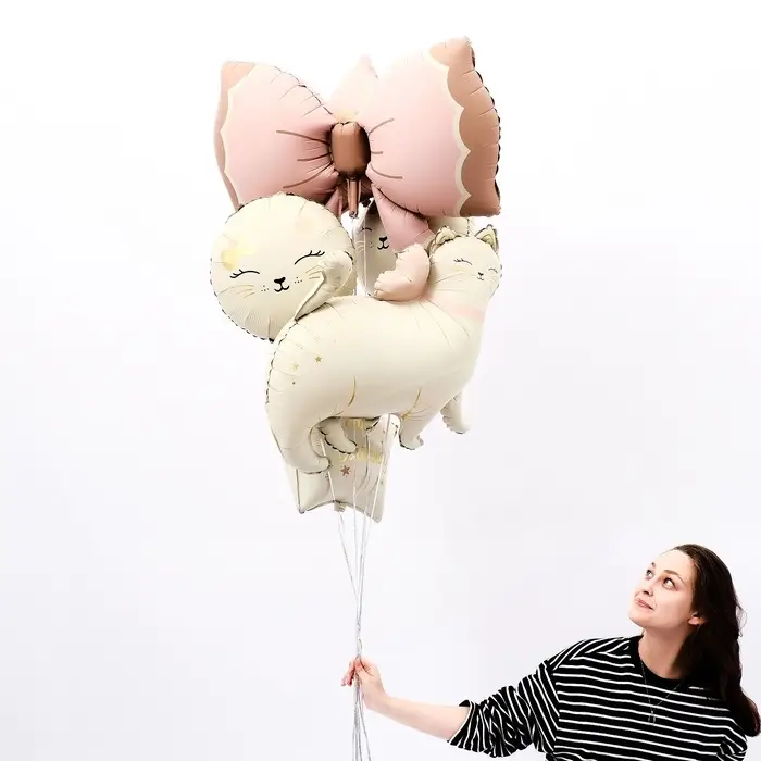 Воздушный шар фольгированный 17 Воздушный шар фольгированный 17" «Кошечка», круг, матовый